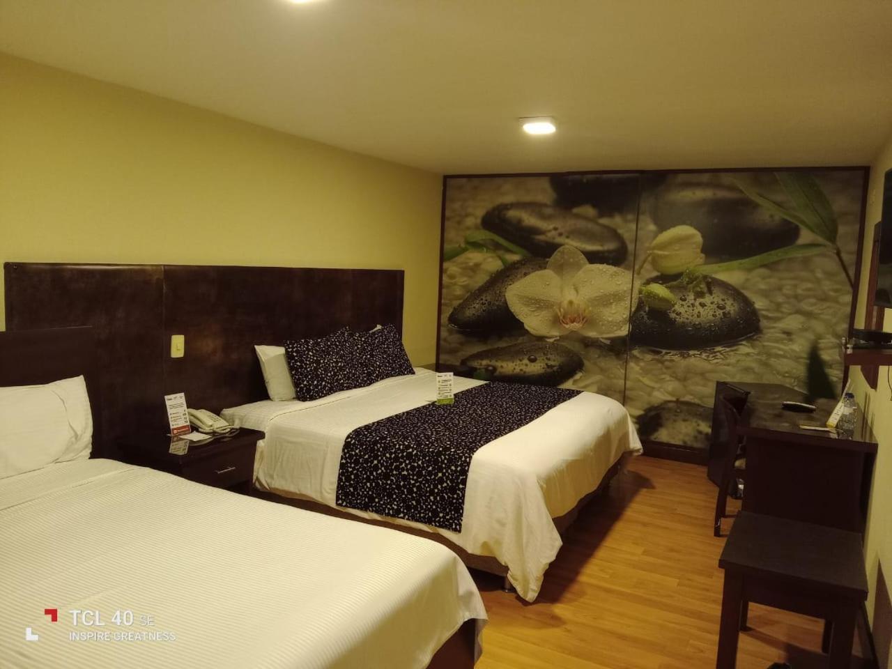 Loft 3* Pasto